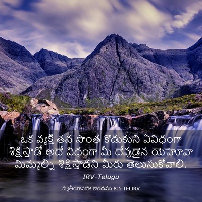 Picture 03 - ద్వితీయోపదేశ కాండము 8:5 TELIRV - ఒక వ్యక్తి తన సొంత - Bible Verse Picture