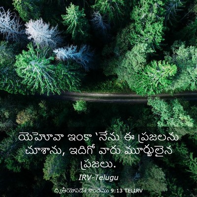 Picture 03 - ద్వితీయోపదేశ కాండము 9:13 TELIRV - యెహోవా ఇంకా ‘నేను - Bible Verse Picture