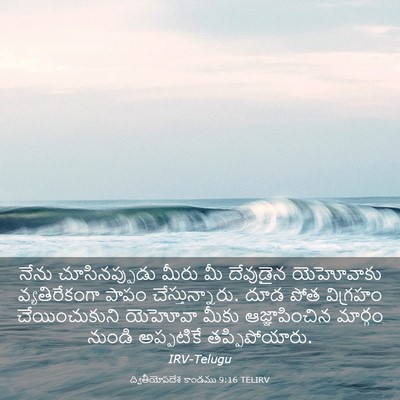 Picture 03 - ద్వితీయోపదేశ కాండము 9:16 TELIRV - నేను చూసినప్పుడు - Bible Verse Picture
