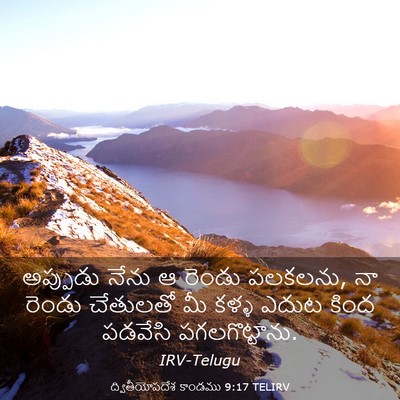 Picture 03 - ద్వితీయోపదేశ కాండము 9:17 TELIRV - అప్పుడు నేను ఆ - Bible Verse Picture