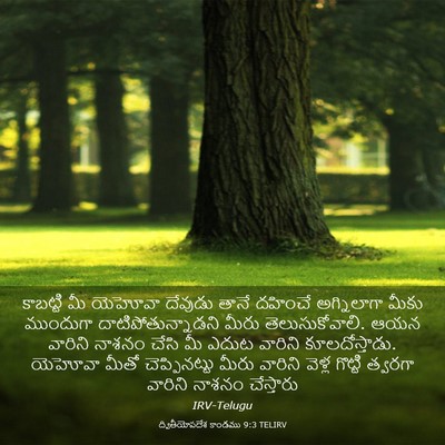 Picture 03 - ద్వితీయోపదేశ కాండము 9:3 TELIRV - కాబట్టి మీ యెహోవా - Bible Verse Picture