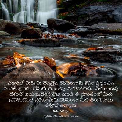 Picture 03 - ద్వితీయోపదేశ కాండము 9:7 TELIRV - ఎడారిలో మీరు మీ - Bible Verse Picture
