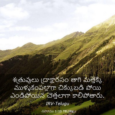 Picture 03 - నహూము 1:10 TELIRV - శత్రువులు - Bible Verse Picture