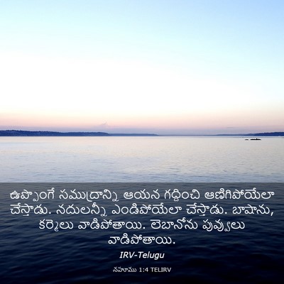Picture 03 - నహూము 1:4 TELIRV - ఉప్పొంగే - Bible Verse Picture