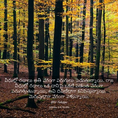 Picture 03 - నహూము 2:4 TELIRV - వీధుల్లో రథాలు - Bible Verse Picture