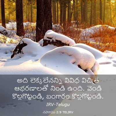 Picture 03 - నహూము 2:9 TELIRV - అది లెక్కలేనన్ని - Bible Verse Picture