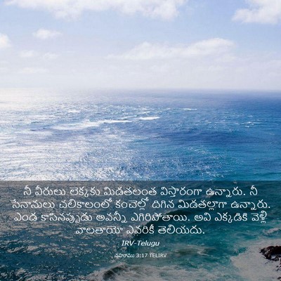 Picture 03 - నహూము 3:17 TELIRV - నీ వీరులు లెక్కకు - Bible Verse Picture