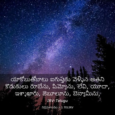 Picture 03 - నిర్గమకాండం 1:1 TELIRV - యాకోబుతోబాటు - Bible Verse Picture
