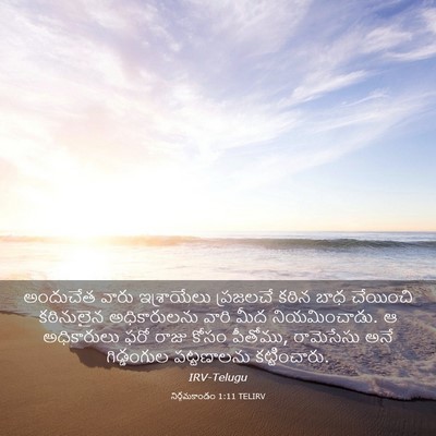 Picture 03 - నిర్గమకాండం 1:11 TELIRV - అందుచేత వారు - Bible Verse Picture