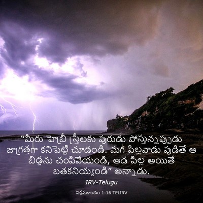 Picture 03 - నిర్గమకాండం 1:16 TELIRV - “మీరు హెబ్రీ - Bible Verse Picture