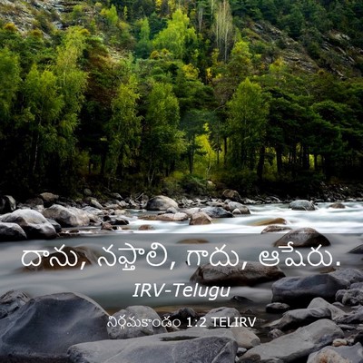 Picture 03 - నిర్గమకాండం 1:2 TELIRV - దాను, నఫ్తాలి, - Bible Verse Picture