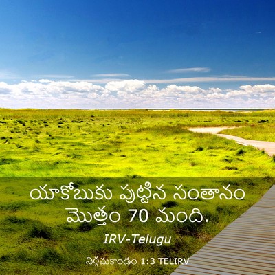 Picture 03 - నిర్గమకాండం 1:3 TELIRV - యాకోబుకు పుట్టిన - Bible Verse Picture
