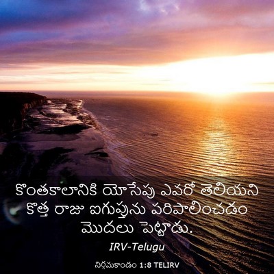 Picture 03 - నిర్గమకాండం 1:8 TELIRV - కొంతకాలానికి - Bible Verse Picture