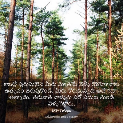 Picture 03 - నిర్గమకాండం 10:11 TELIRV - కాబట్టి పురుషులైన - Bible Verse Picture