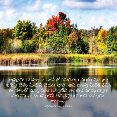 Picture 03 - నిర్గమకాండం 10:12 TELIRV - అప్పుడు యెహోవా - Bible Verse Picture