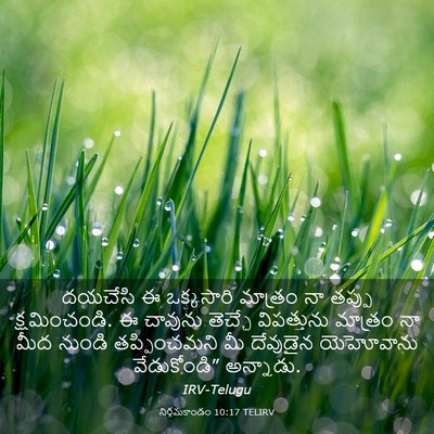 Picture 03 - నిర్గమకాండం 10:17 TELIRV - దయచేసి ఈ ఒక్కసారి - Bible Verse Picture