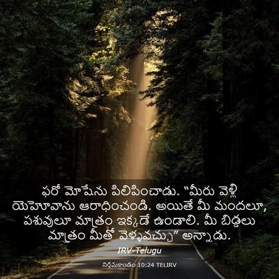 Picture 03 - నిర్గమకాండం 10:24 TELIRV - ఫరో మోషేను - Bible Verse Picture