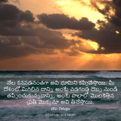 Picture 03 - నిర్గమకాండం 10:5 TELIRV - నేల కనపడనంతగా అవి - Bible Verse Picture