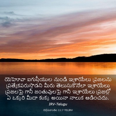 Picture 03 - నిర్గమకాండం 11:7 TELIRV - యెహోవా ఐగుప్తీయుల - Bible Verse Picture