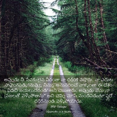 Picture 03 - నిర్గమకాండం 11:8 TELIRV - అప్పుడు నీ - Bible Verse Picture