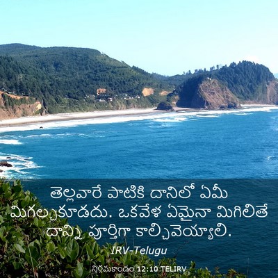 Picture 03 - నిర్గమకాండం 12:10 TELIRV - తెల్లవారే పాటికి - Bible Verse Picture