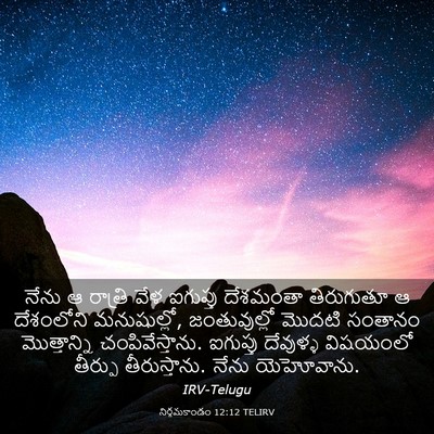 Picture 03 - నిర్గమకాండం 12:12 TELIRV - నేను ఆ రాత్రి వేళ - Bible Verse Picture