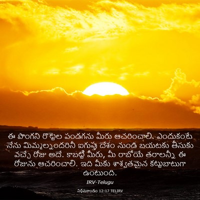 Picture 03 - నిర్గమకాండం 12:17 TELIRV - ఈ పొంగని రొట్టెల - Bible Verse Picture