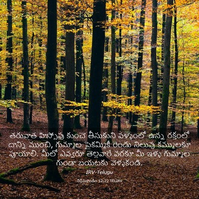 Picture 03 - నిర్గమకాండం 12:22 TELIRV - తరువాత హిస్సోపు - Bible Verse Picture