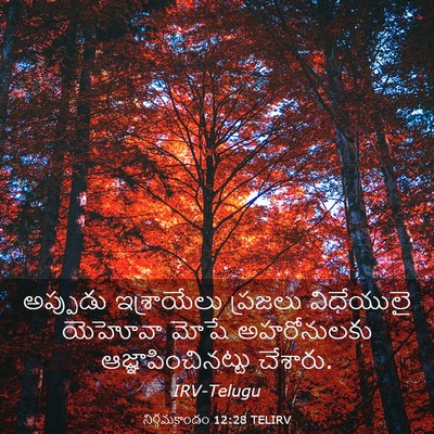 Picture 03 - నిర్గమకాండం 12:28 TELIRV - అప్పుడు ఇశ్రాయేలు - Bible Verse Picture