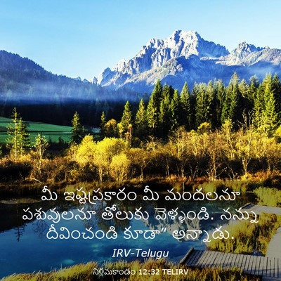 Picture 03 - నిర్గమకాండం 12:32 TELIRV - మీ ఇష్టప్రకారం మీ - Bible Verse Picture