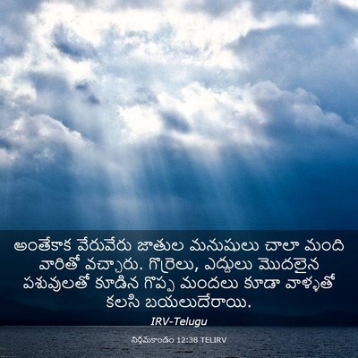 Picture 03 - నిర్గమకాండం 12:38 TELIRV - అంతేకాక వేరువేరు - Bible Verse Picture