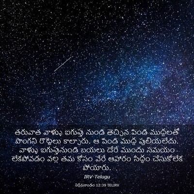 Picture 03 - నిర్గమకాండం 12:39 TELIRV - తరువాత వాళ్ళు - Bible Verse Picture