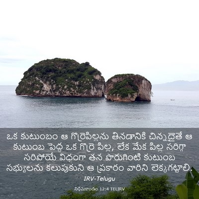 Picture 03 - నిర్గమకాండం 12:4 TELIRV - ఒక కుటుంబం ఆ - Bible Verse Picture