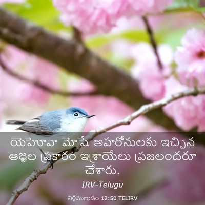 Picture 03 - నిర్గమకాండం 12:50 TELIRV - యెహోవా మోషే - Bible Verse Picture