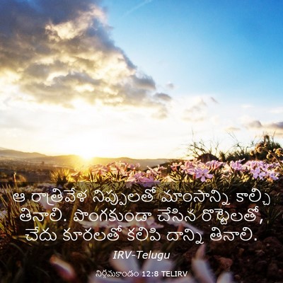 Picture 03 - నిర్గమకాండం 12:8 TELIRV - ఆ రాత్రివేళ - Bible Verse Picture