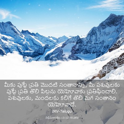 Picture 03 - నిర్గమకాండం 13:12 TELIRV - మీకు పుట్టే ప్రతి - Bible Verse Picture