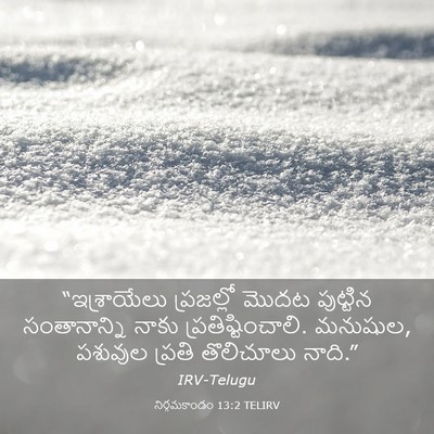Picture 03 - నిర్గమకాండం 13:2 TELIRV - “ఇశ్రాయేలు - Bible Verse Picture