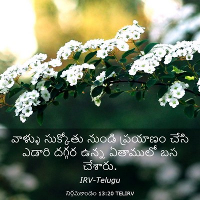 Picture 03 - నిర్గమకాండం 13:20 TELIRV - వాళ్ళు సుక్కోతు - Bible Verse Picture