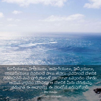 Picture 03 - నిర్గమకాండం 13:5 TELIRV - కనానీయులు, - Bible Verse Picture