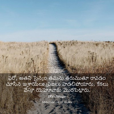 Picture 03 - నిర్గమకాండం 14:10 TELIRV - ఫరో, అతని సైన్యం - Bible Verse Picture