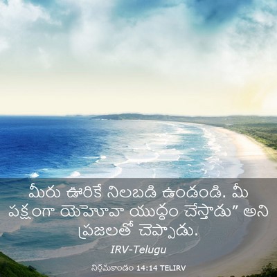 Picture 03 - నిర్గమకాండం 14:14 TELIRV - మీరు ఊరికే నిలబడి - Bible Verse Picture