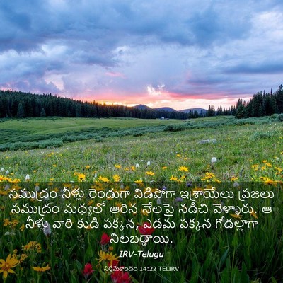 Picture 03 - నిర్గమకాండం 14:22 TELIRV - సముద్రం నీళ్లు - Bible Verse Picture