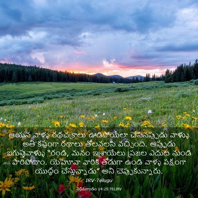 Picture 03 - నిర్గమకాండం 14:25 TELIRV - ఆయన వాళ్ళ - Bible Verse Picture
