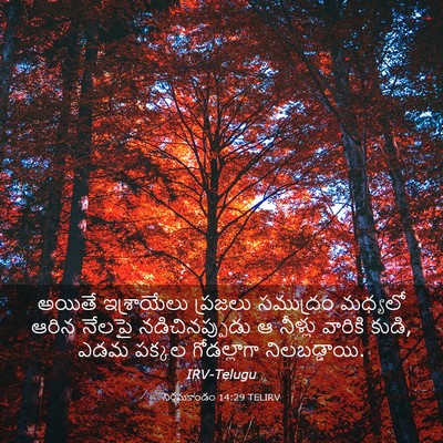 Picture 03 - నిర్గమకాండం 14:29 TELIRV - అయితే ఇశ్రాయేలు - Bible Verse Picture