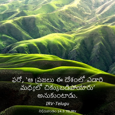 Picture 03 - నిర్గమకాండం 14:3 TELIRV - ఫరో, ‘ఆ ప్రజలు ఈ - Bible Verse Picture
