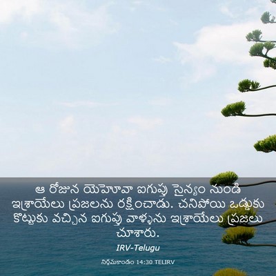 Picture 03 - నిర్గమకాండం 14:30 TELIRV - ఆ రోజున యెహోవా - Bible Verse Picture