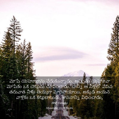 Picture 03 - నిర్గమకాండం 15:25 TELIRV - మోషే యెహోవాను - Bible Verse Picture