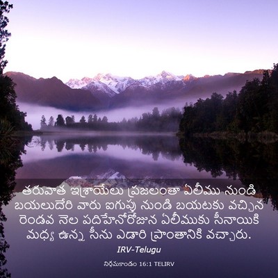 Picture 03 - నిర్గమకాండం 16:1 TELIRV - తరువాత ఇశ్రాయేలు - Bible Verse Picture