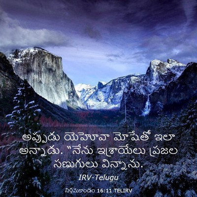 Picture 03 - నిర్గమకాండం 16:11 TELIRV - అప్పుడు యెహోవా - Bible Verse Picture