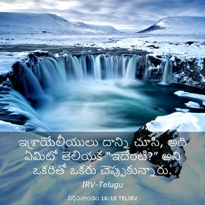 Picture 03 - నిర్గమకాండం 16:15 TELIRV - ఇశ్రాయేలీయులు - Bible Verse Picture